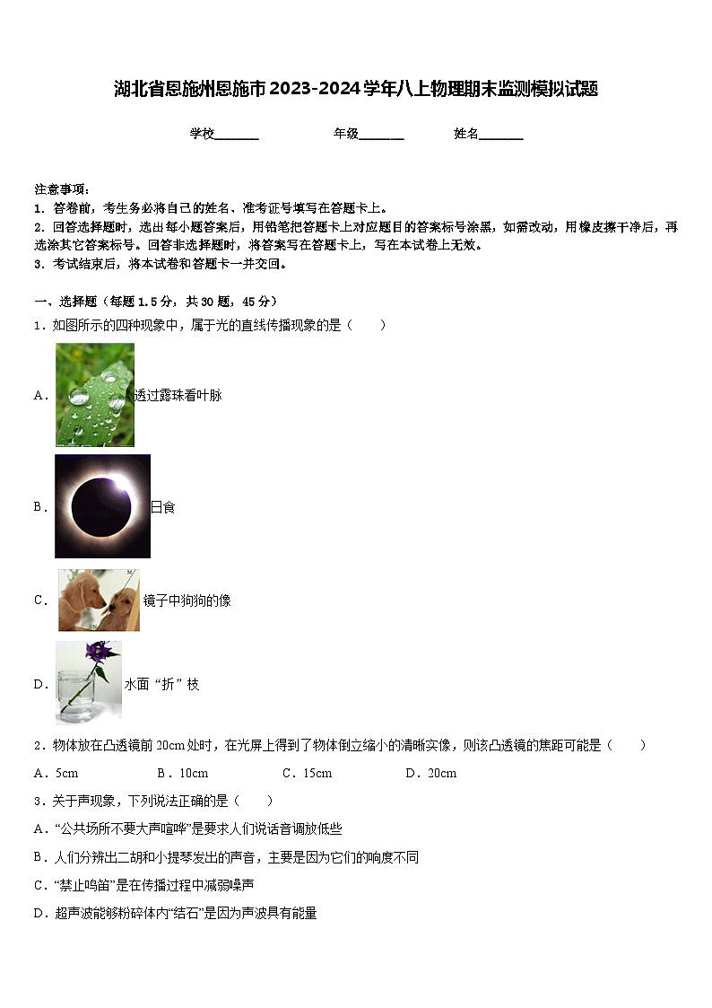 湖北省恩施州恩施市2023-2024学年八上物理期末监测模拟试题含答案01