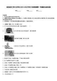 湖北省天门市江汉学校2023-2024学年八年级物理第一学期期末监测试题含答案