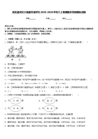 湖北省武汉大附属外语学校2023-2024学年八上物理期末检测模拟试题含答案