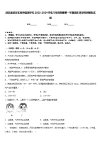 湖北省武汉实验外国语学校2023-2024学年八年级物理第一学期期末质量检测模拟试题含答案