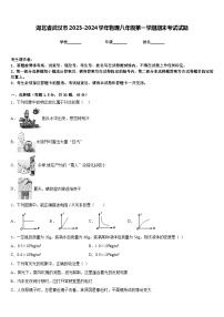 湖北省武汉市2023-2024学年物理八年级第一学期期末考试试题含答案