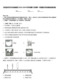 湖北省武汉市东湖高新区2023-2024学年物理八年级第一学期期末质量跟踪监视试题含答案