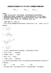 湖北省武汉市东西湖区2023-2024学年八上物理期末考试模拟试题含答案