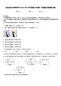 湖北省武汉市梅苑中学2023-2024学年物理八年级第一学期期末经典模拟试题含答案