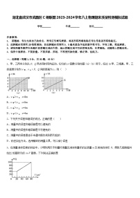 湖北省武汉市武昌区C组联盟2023-2024学年八上物理期末质量检测模拟试题含答案