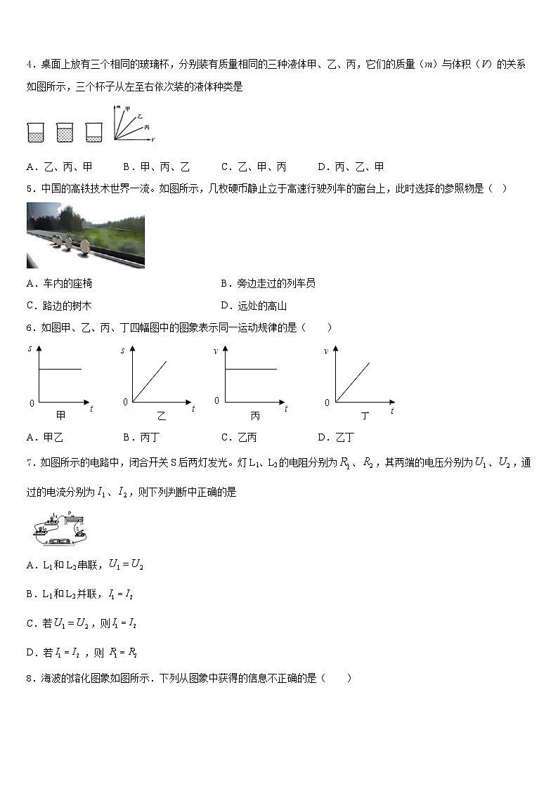 湖北省武汉市武昌区2023-2024学年物理八年级第一学期期末质量跟踪监视模拟试题含答案02