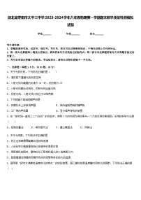 湖北省枣阳市太平三中学2023-2024学年八年级物理第一学期期末教学质量检测模拟试题含答案