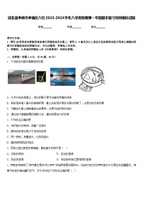 湖北省孝感市孝南区八校2023-2024学年八年级物理第一学期期末复习检测模拟试题含答案