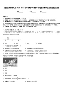 湖北省孝感市八校2023-2024学年物理八年级第一学期期末教学质量检测模拟试题含答案