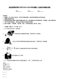 湖北省枣阳市第三中学2023-2024学年物理八上期末统考模拟试题含答案