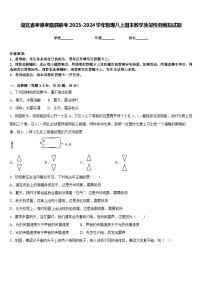 湖北省孝感孝昌县联考2023-2024学年物理八上期末教学质量检测模拟试题含答案