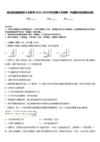 湖北省宜昌高新区七校联考2023-2024学年物理八年级第一学期期末监测模拟试题含答案