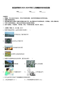 湖北省枣阳市2023-2024学年八上物理期末综合测试试题含答案