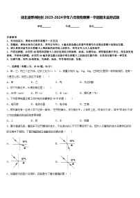 湖北省鄂州地区2023-2024学年八年级物理第一学期期末监测试题含答案