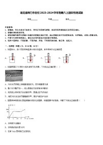 湖北省荆门市名校2023-2024学年物理八上期末检测试题含答案