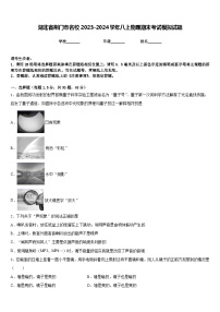 湖北省荆门市名校2023-2024学年八上物理期末考试模拟试题含答案