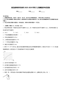 湖北省荆州市松滋市2023-2024学年八上物理期末考试试题含答案