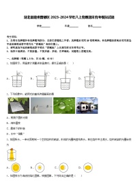 湖北省随州曾都区2023-2024学年八上物理期末统考模拟试题含答案