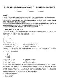 湖北省武汉市光谷实验等四校2023-2024学年八上物理期末学业水平测试模拟试题含答案