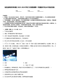 湖北省荆州市荆州区2023-2024学年八年级物理第一学期期末学业水平测试试题含答案