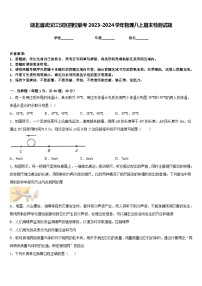 湖北省武汉江汉区四校联考2023-2024学年物理八上期末检测试题含答案