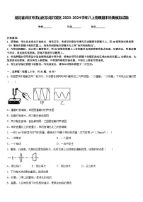 湖北省武汉市洪山区东湖开发区2023-2024学年八上物理期末经典模拟试题含答案