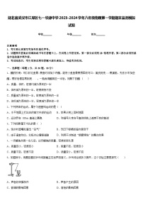 湖北省武汉市江岸区七一华源中学2023-2024学年八年级物理第一学期期末监测模拟试题含答案