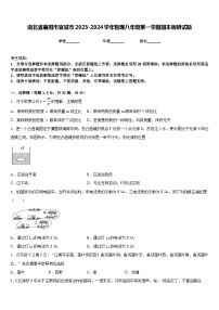 湖北省襄阳市宜城市2023-2024学年物理八年级第一学期期末调研试题含答案