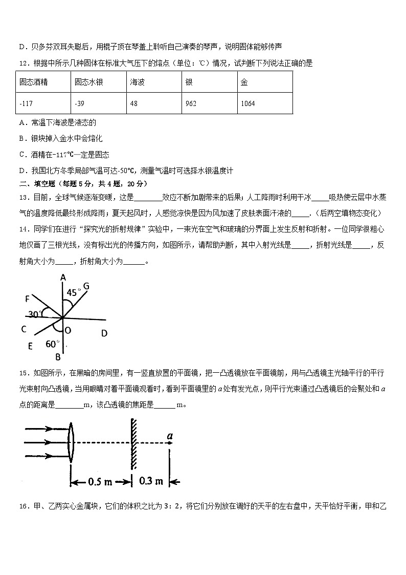 湖北省武汉市江汉区常青第一学校2023-2024学年八上物理期末联考试题含答案03