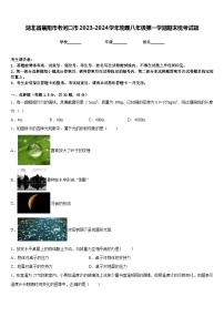 湖北省襄阳市老河口市2023-2024学年物理八年级第一学期期末统考试题含答案