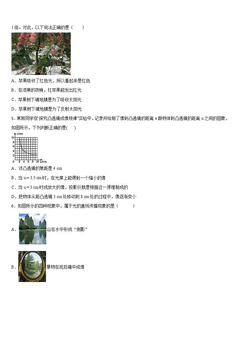 湖北省阳新县2023-2024学年八年级物理第一学期期末考试试题含答案02