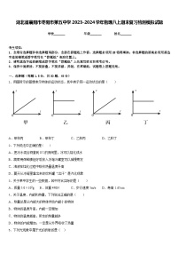 湖北省襄阳市枣阳市第五中学2023-2024学年物理八上期末复习检测模拟试题含答案