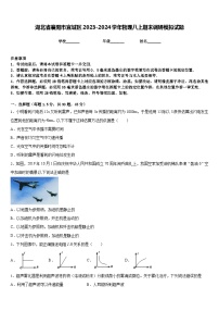 湖北省襄阳市宜城区2023-2024学年物理八上期末调研模拟试题含答案