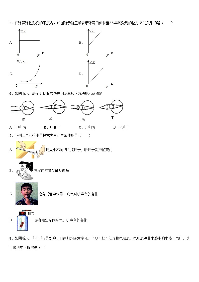 湖北省黄石市白沙片区2023-2024学年物理八年级第一学期期末质量检测试题含答案02
