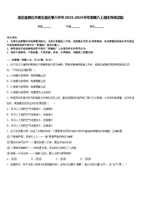 湖北省黄石市黄石港区第八中学2023-2024学年物理八上期末预测试题含答案