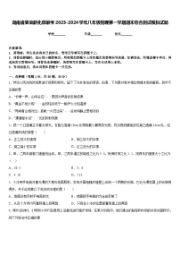 湖南省娄底新化县联考2023-2024学年八年级物理第一学期期末综合测试模拟试题含答案