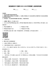 湖北省黄石市十校联考2023-2024学年物理八上期末联考试题含答案