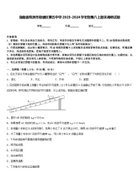 湖南省株洲市荷塘区第五中学2023-2024学年物理八上期末调研试题含答案