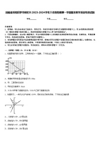 湖南省岳阳汨罗市弼时片2023-2024学年八年级物理第一学期期末教学质量检测试题含答案