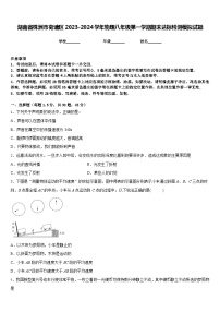 湖南省株洲市荷塘区2023-2024学年物理八年级第一学期期末达标检测模拟试题含答案