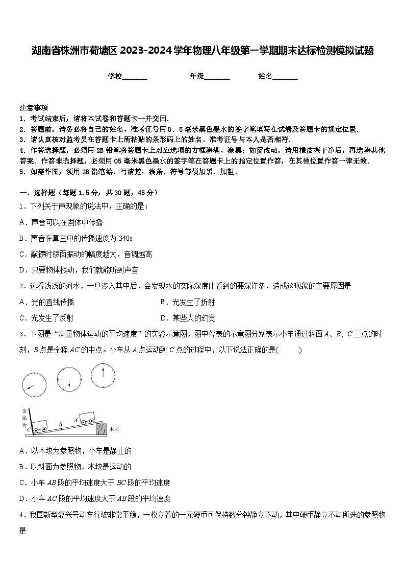 湖南省株洲市荷塘区2023-2024学年物理八年级第一学期期末达标检测模拟试题含答案第1页