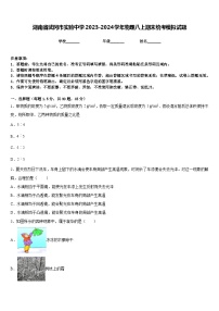 湖南省武冈市实验中学2023-2024学年物理八上期末统考模拟试题含答案