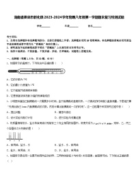 湖南省娄底市新化县2023-2024学年物理八年级第一学期期末复习检测试题含答案