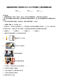 湖南省岳阳市城区十四校联考2023-2024学年物理八上期末调研模拟试题含答案