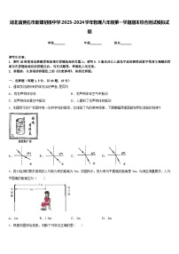 湖北省黄石市新建初级中学2023-2024学年物理八年级第一学期期末综合测试模拟试题含答案