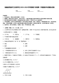 湖南省常德芷兰实验学校2023-2024学年物理八年级第一学期期末考试模拟试题含答案