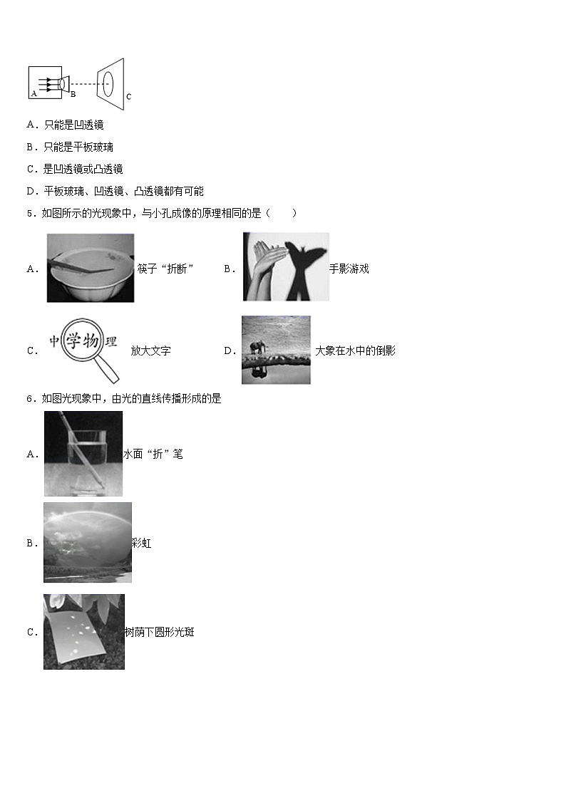 湖南省凤凰县2023-2024学年物理八年级第一学期期末检测试题含答案02