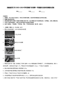 湖南省洪江市2023-2024学年物理八年级第一学期期末达标检测模拟试题含答案