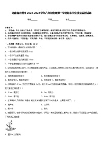 湖南省永州市2023-2024学年八年级物理第一学期期末学业质量监测试题含答案