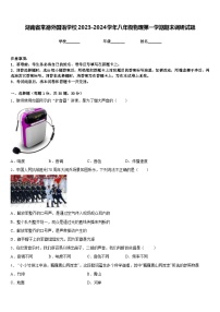 湖南省常德外国语学校2023-2024学年八年级物理第一学期期末调研试题含答案